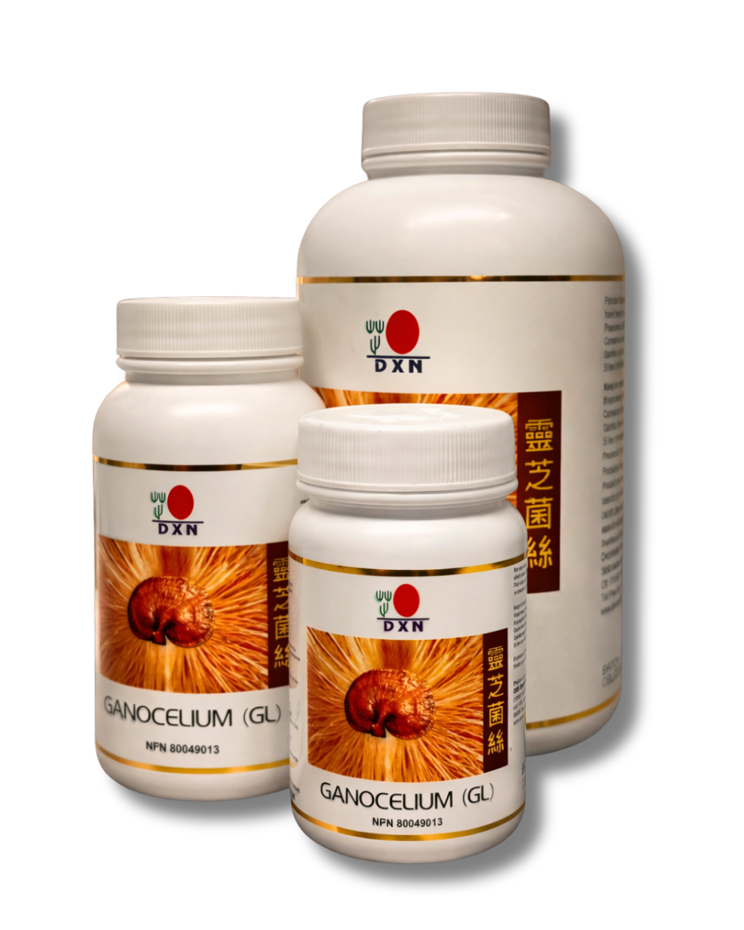 DXN Ganocelium GL-30